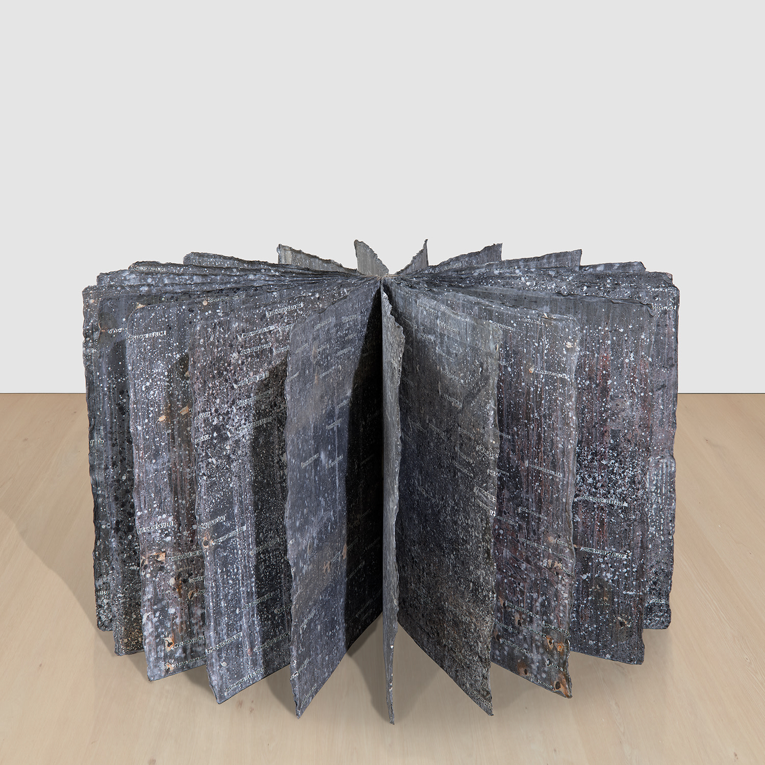 Anselm Kiefer — For Robert Fludd, the Secret Life of Plants