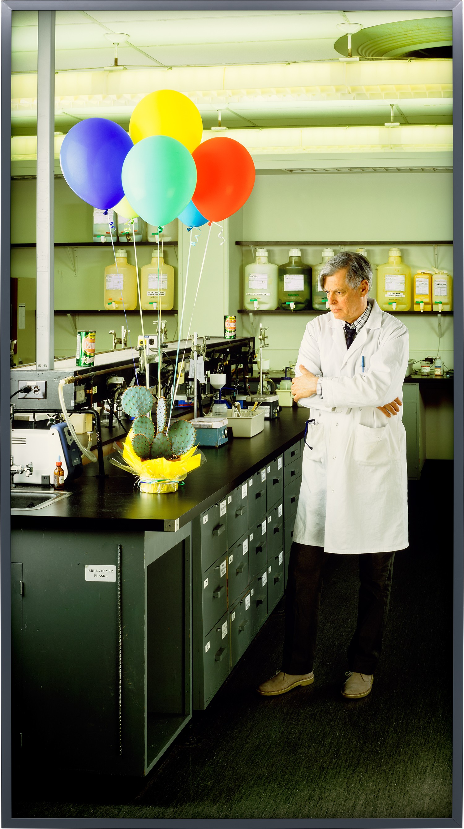 Rodney Graham — Cactus Fan