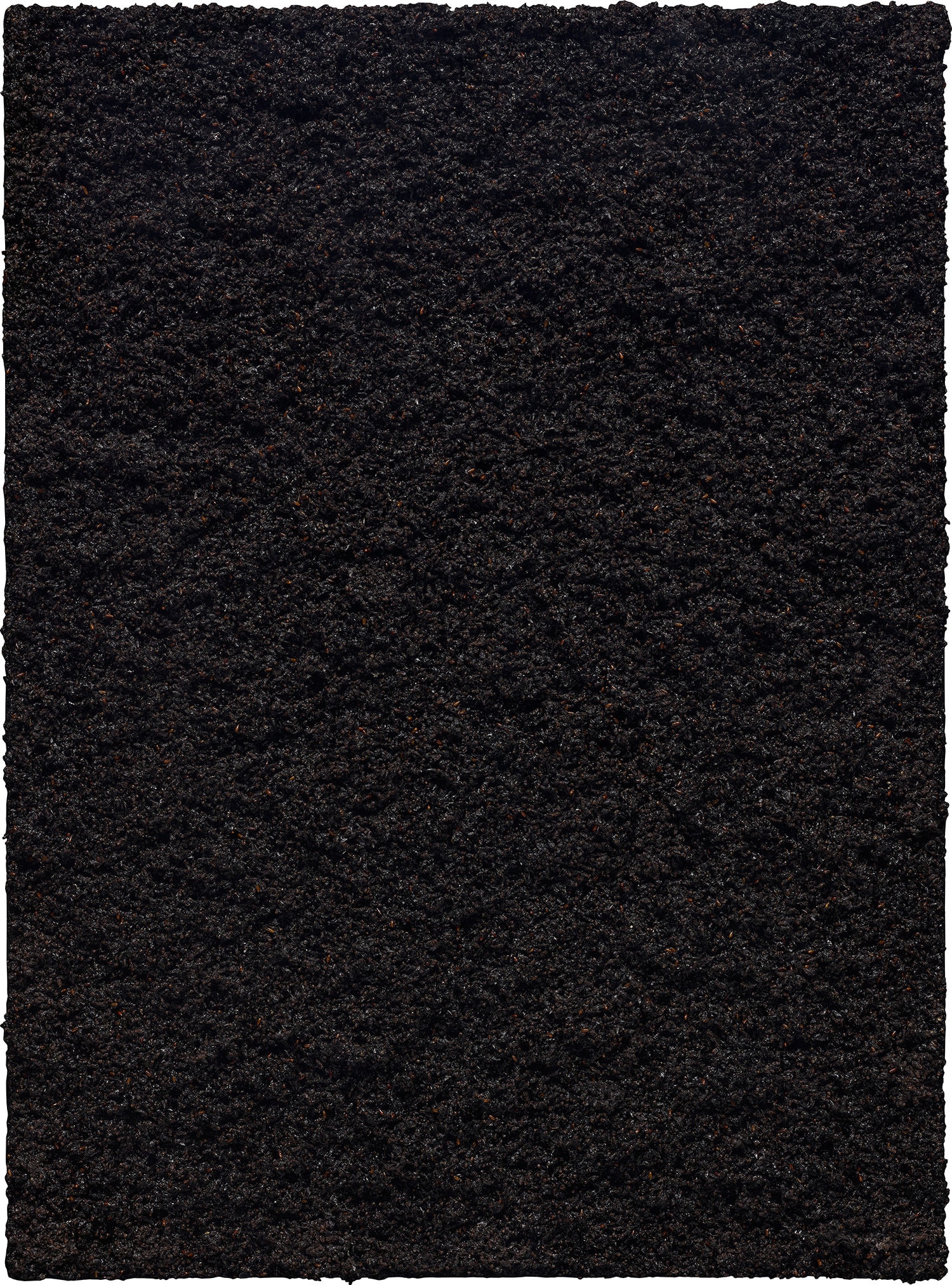 Damien Hirst — Typhoid