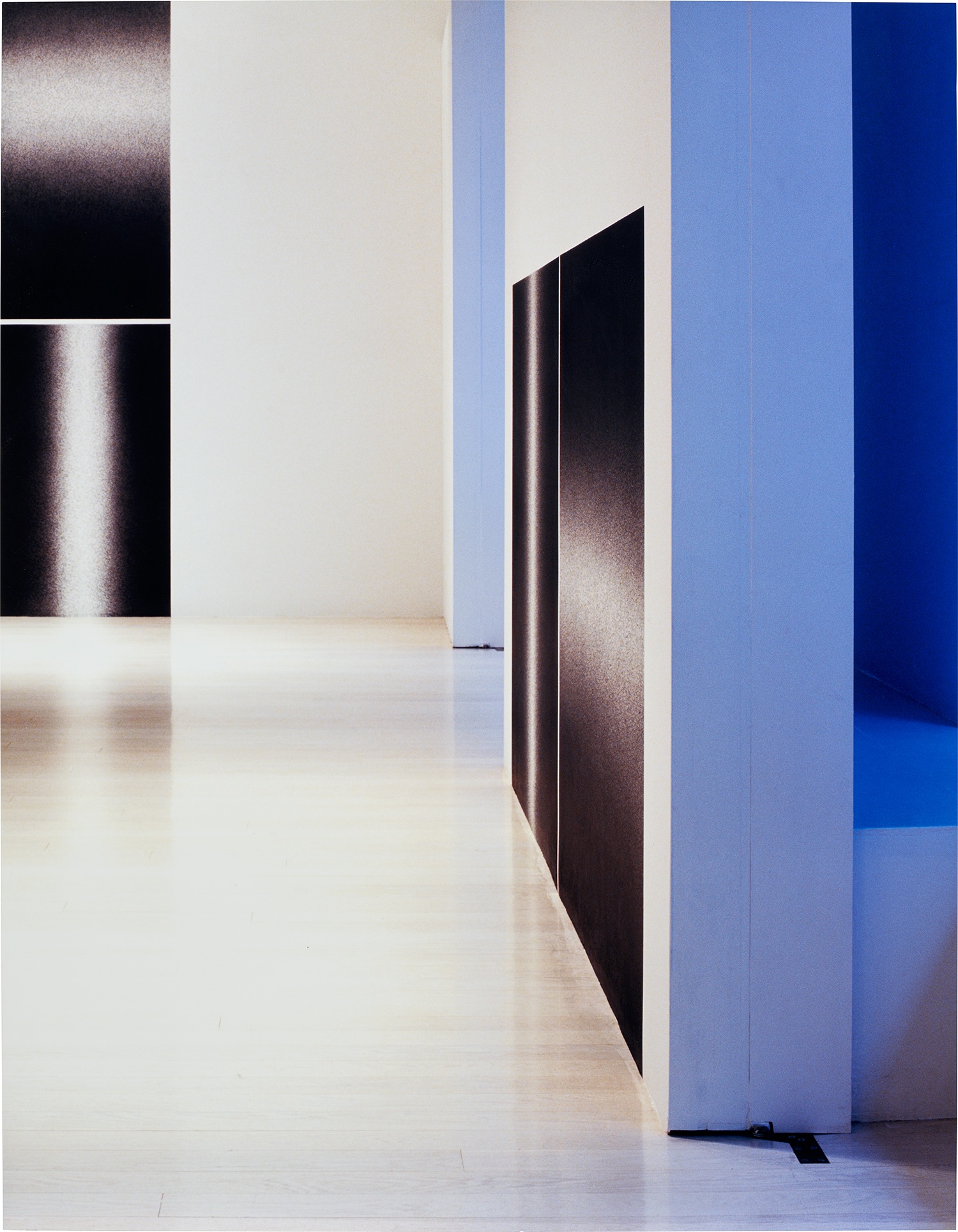 Louise Lawler — Black and White and Blue