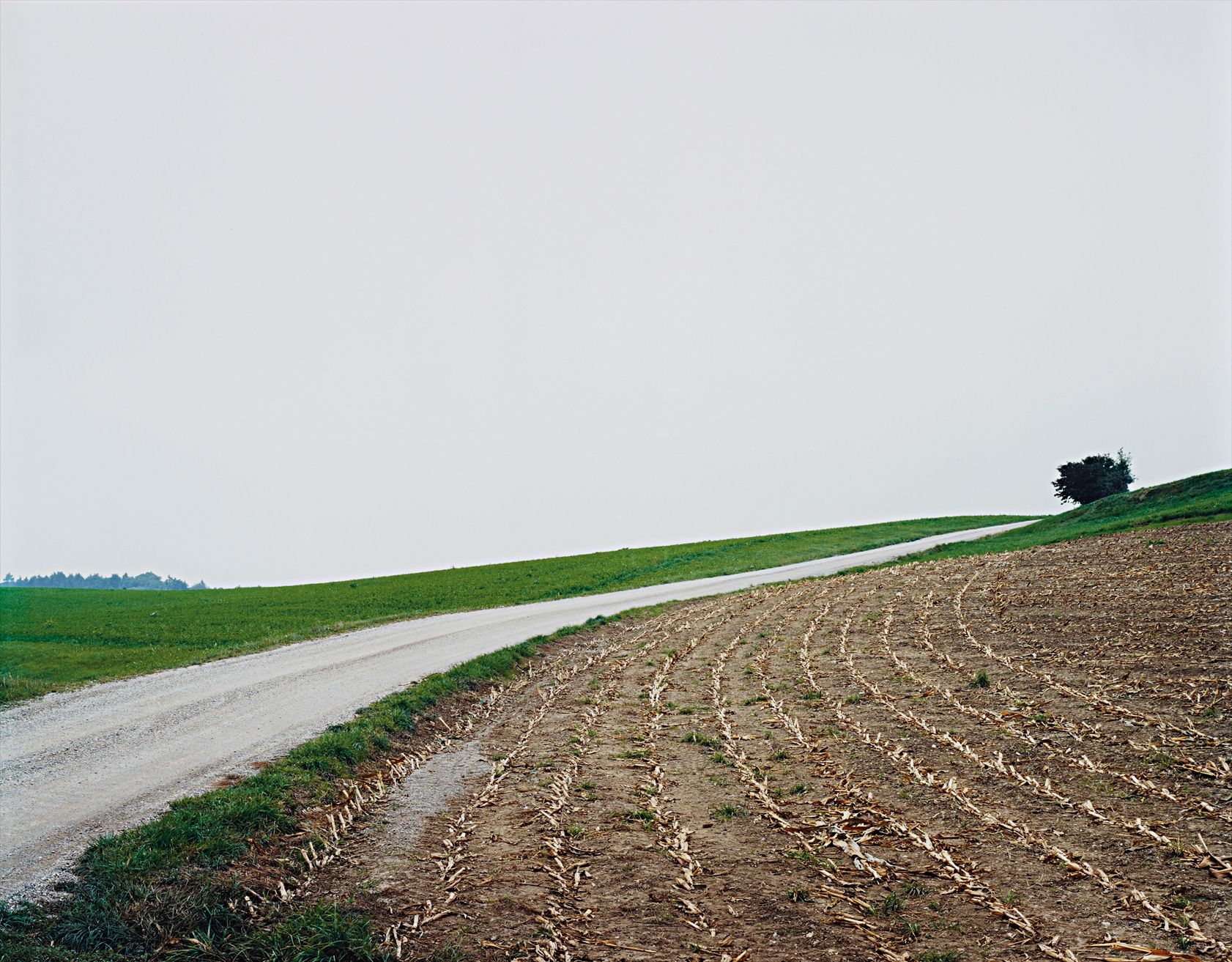 Thomas Struth — Mais-Acker N22, Winterthur