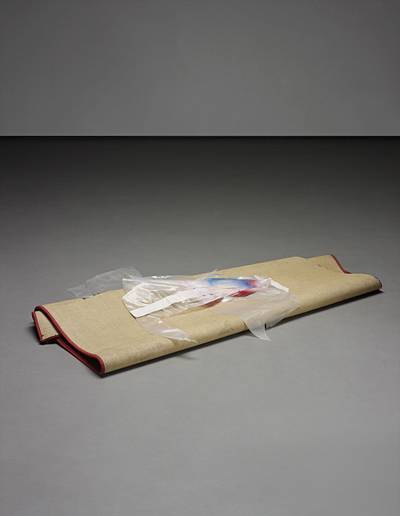 A fact of internal property neither in place nor out of place