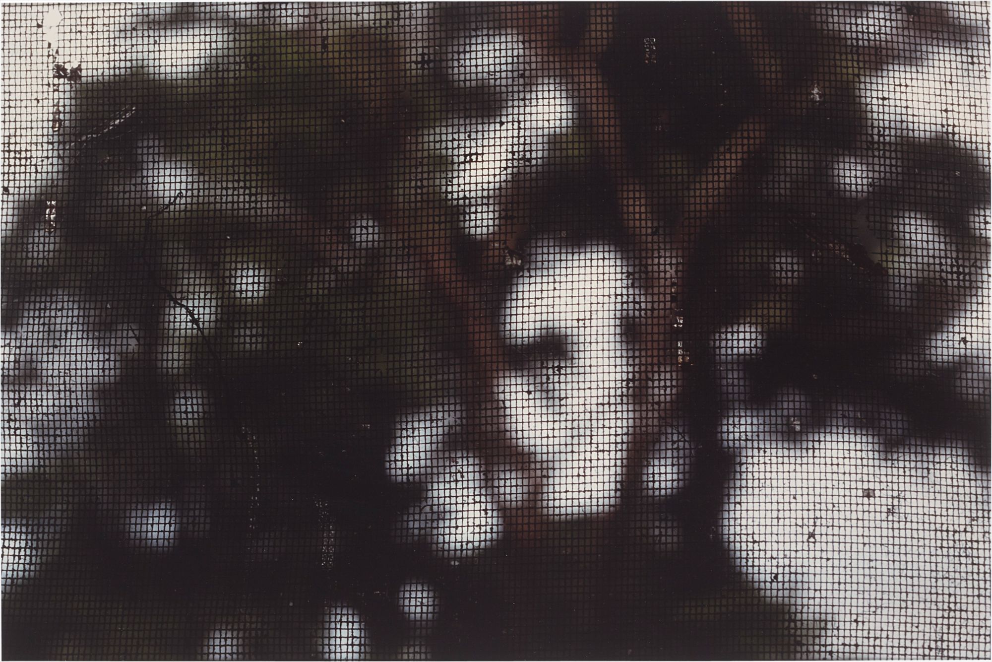 Gabriel Orozco — Mosquitero