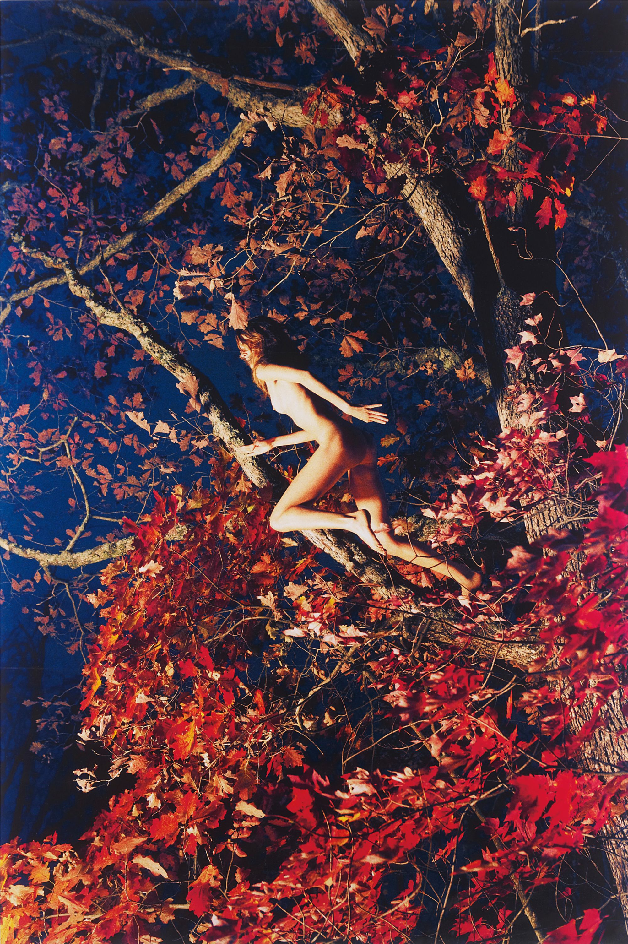 Ryan McGinley — Marieke (Fall Foliage)