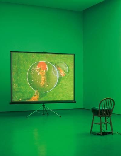 Perfect Devotion One