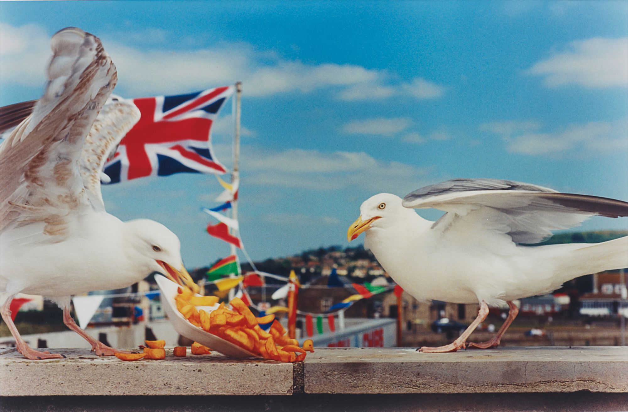 Martin Parr — West Bay (seagulls eating chips)