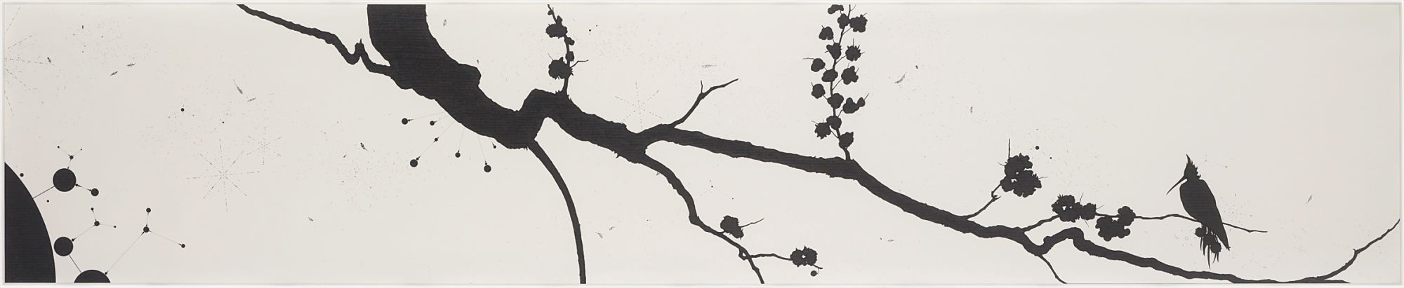 Ernesto Caivano — Solitary Philipore in Shadows II