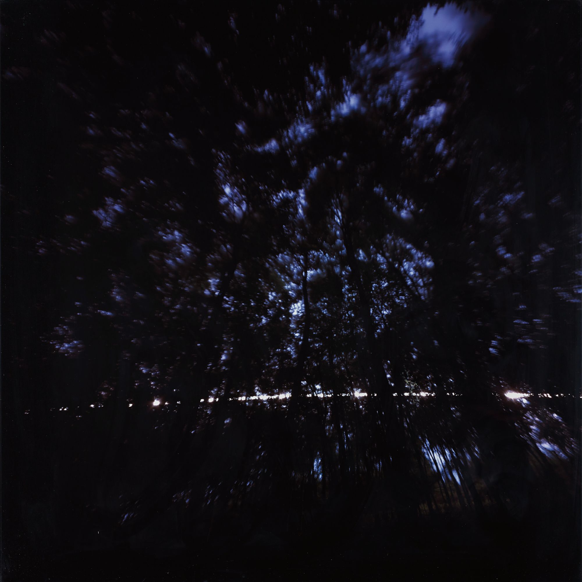 Susan Derges — Canopy