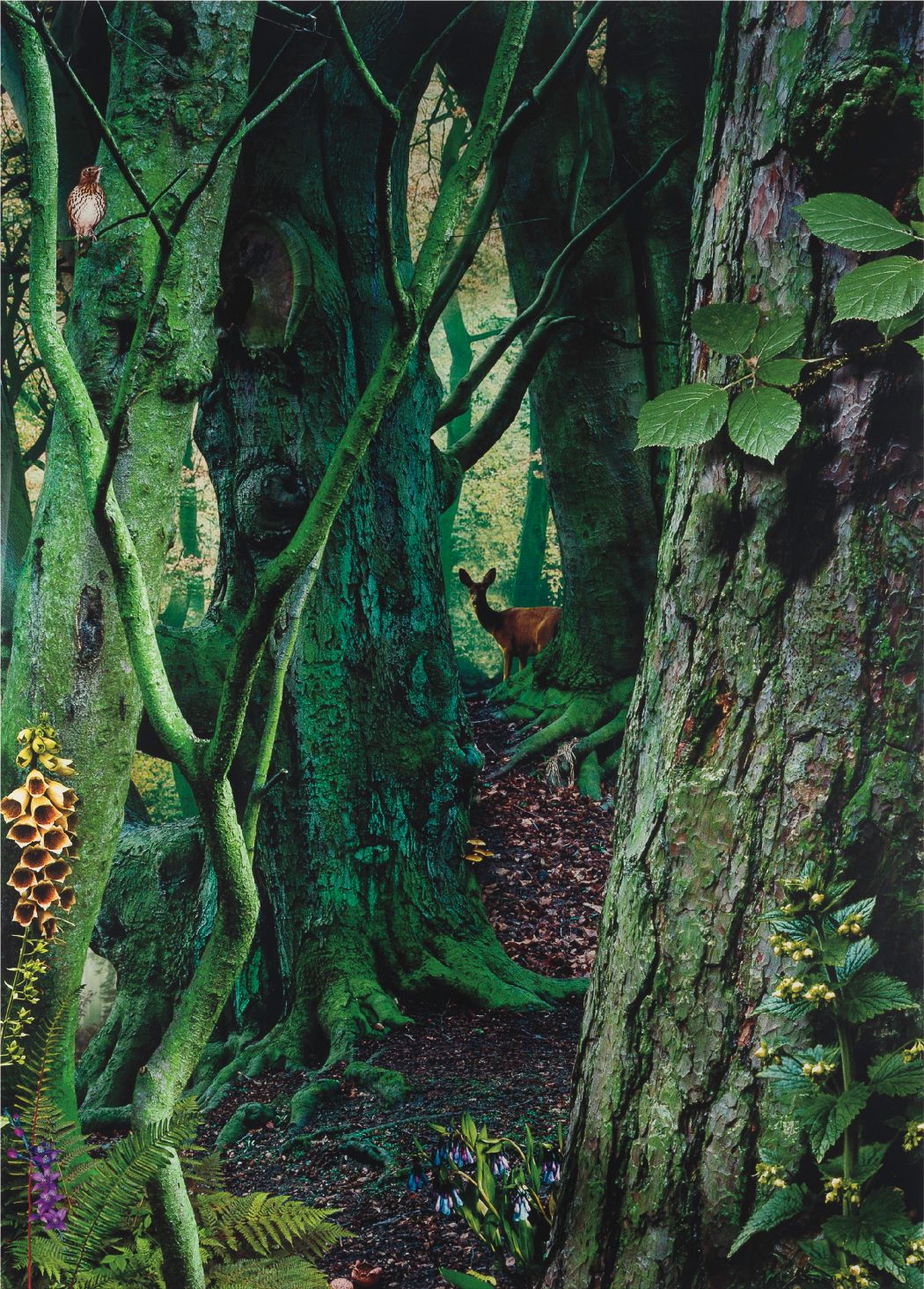 Ruud van Empel — Study in Green #1