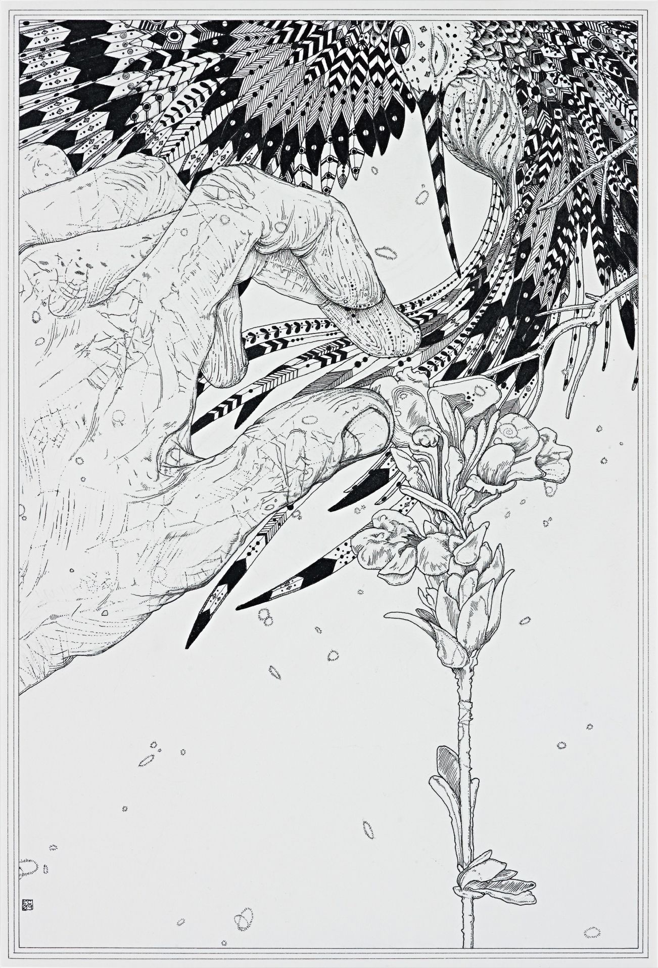 Ernesto Caivano — Digits and Pores, Petals and Philapores