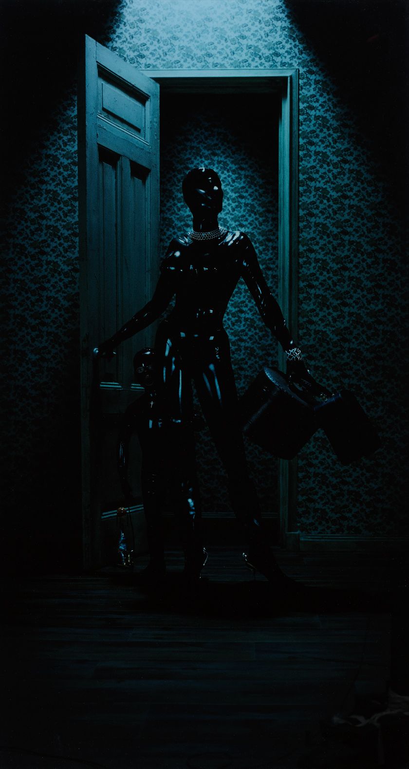 Adam Fuss — unique photogram