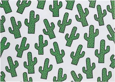 Cactus Infinity
