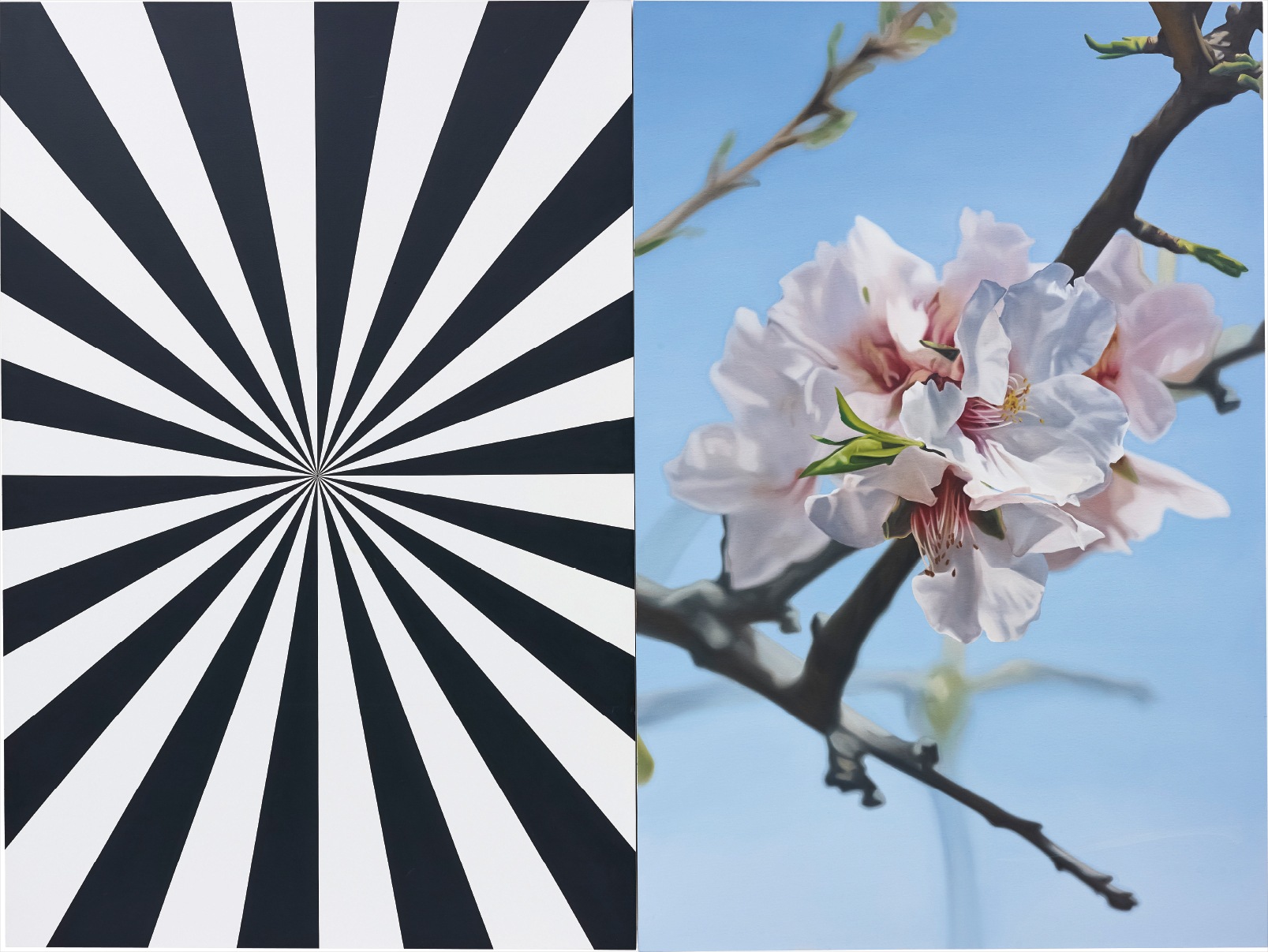 Mustafa Hulusi — Exstacy Almond Blossom 8