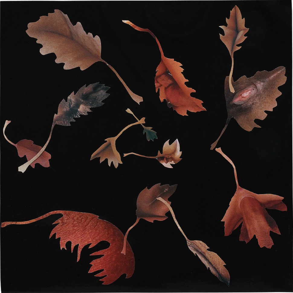 Jonathan Yeo — Leaf Study 20