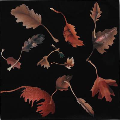 Leaf Study 20