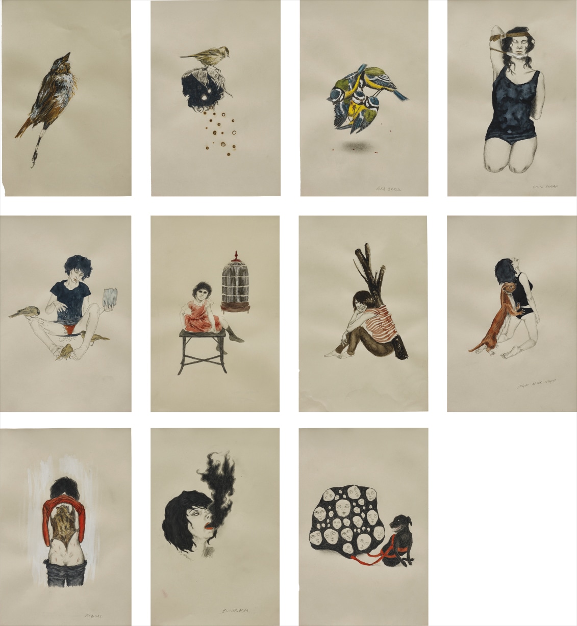 Rachel Goodyear — Nature Notes