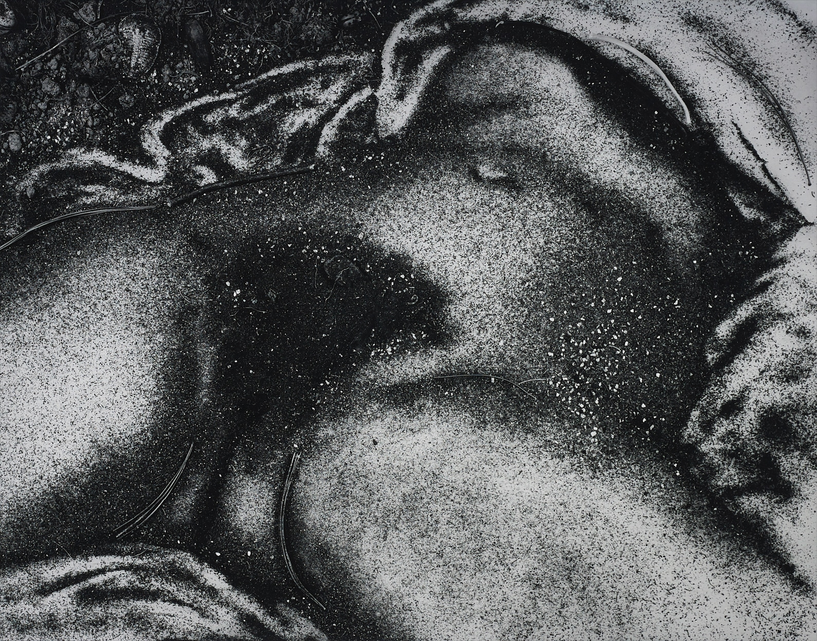 Vik Muniz — Origin of the World