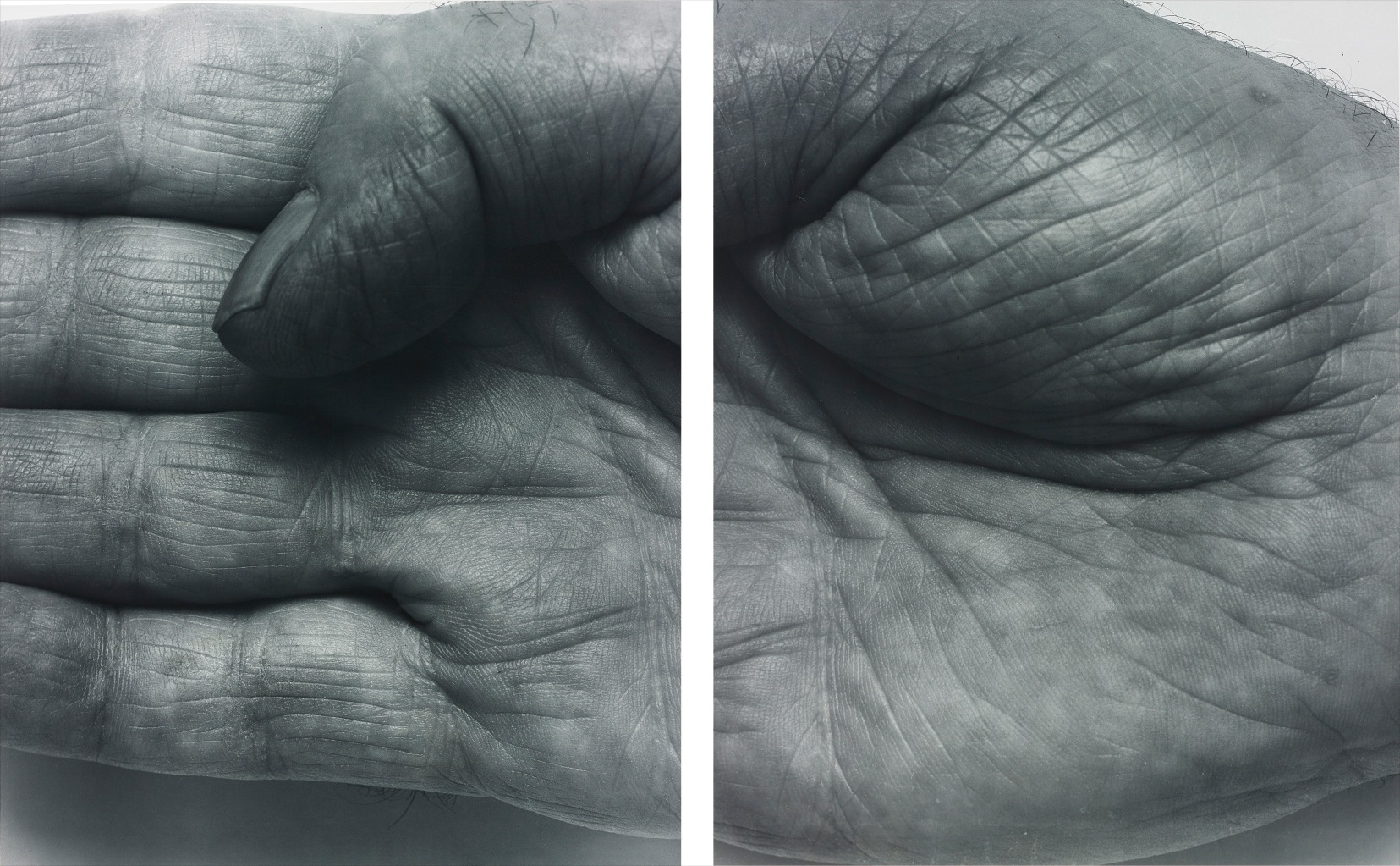 John Coplans — Hand