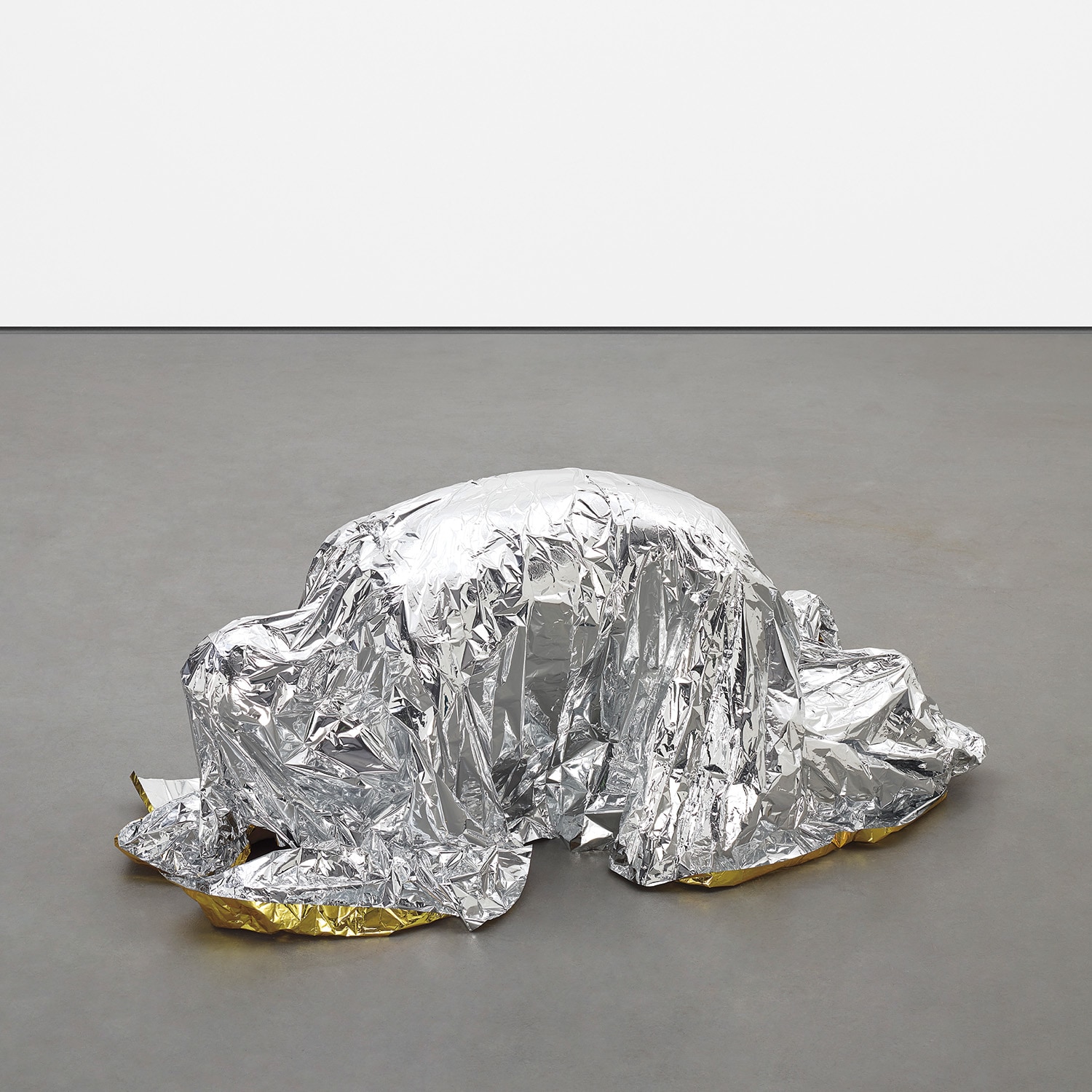 Thomas Grünfeld — "Misfit" (faisan & chevreau)