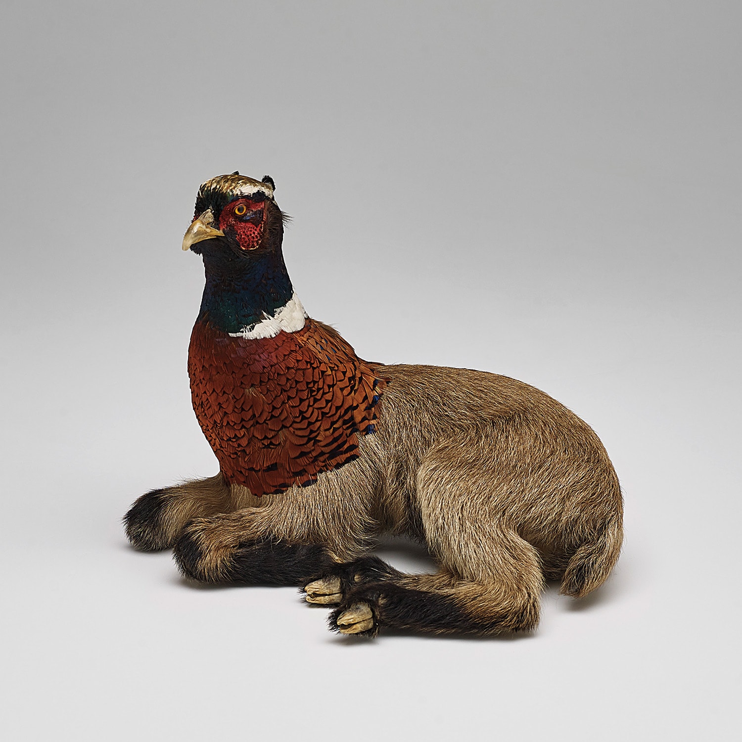 Rob Pruitt — Un carton d'Evian (open)