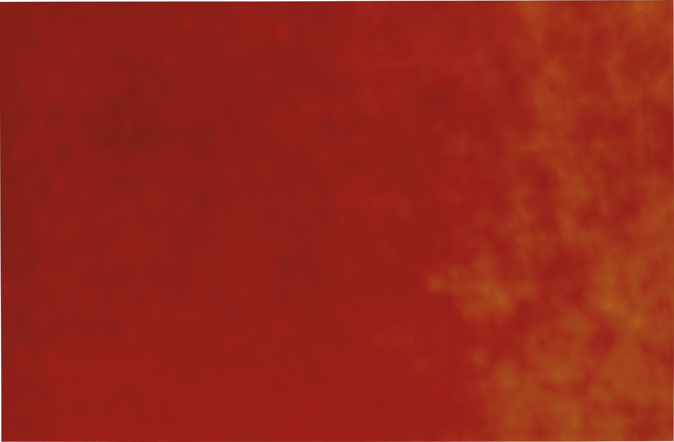 James Welling — 5, 2005