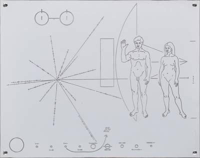 Plaque / Identity Tag