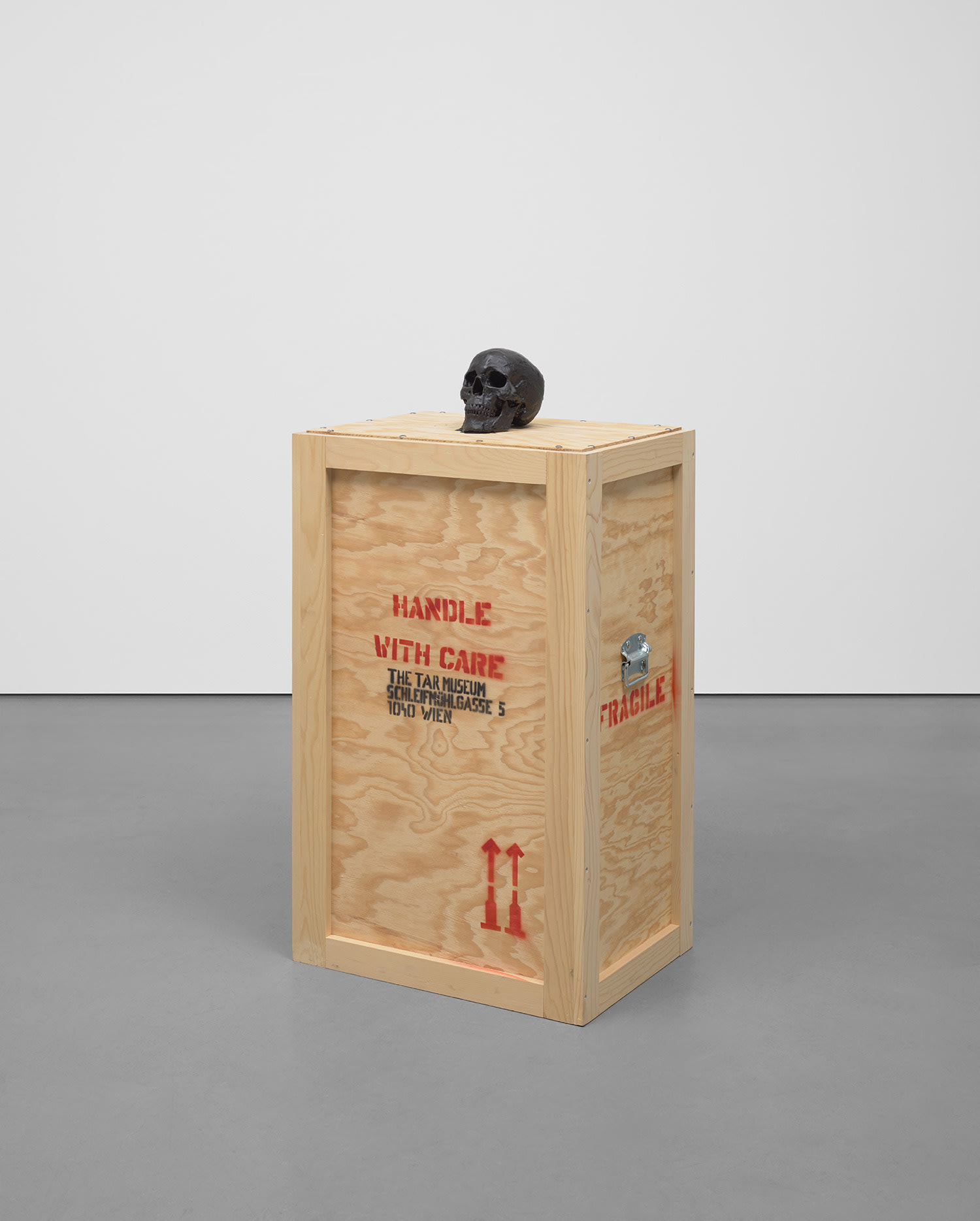 Mark Dion — The Tar Museum - Skull