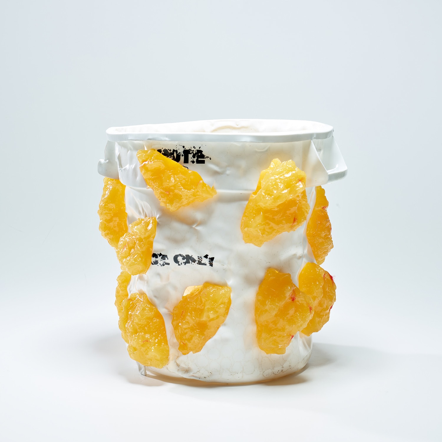 Nancy Lupo — Container