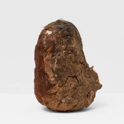 Patate (Selfportrait as a Potato)