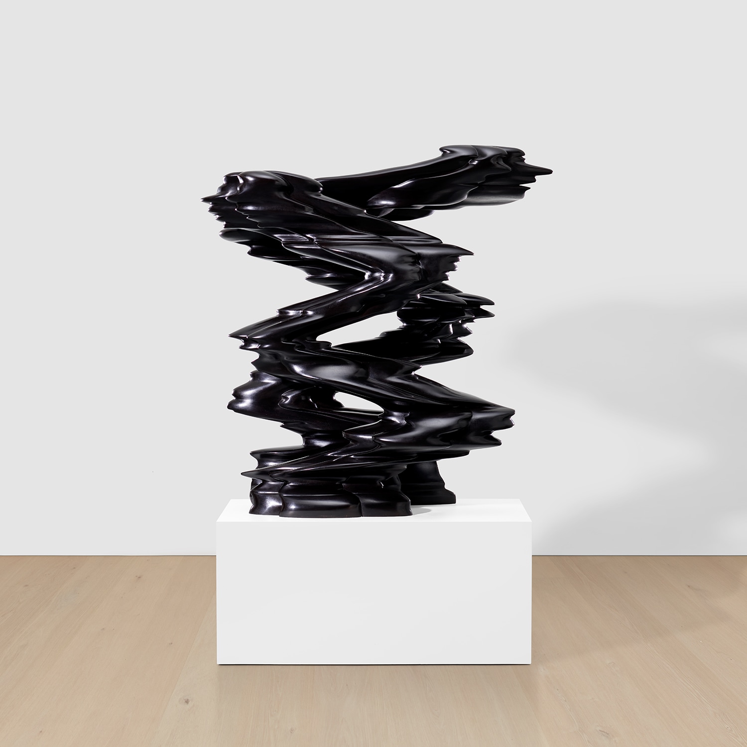 Tony Cragg — Runner
