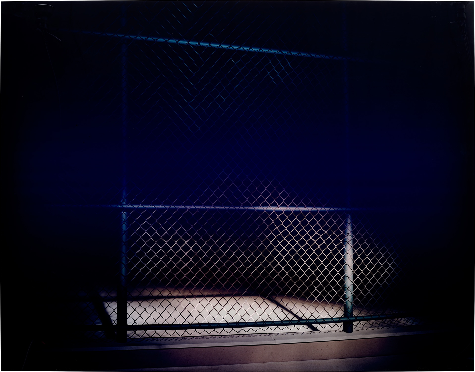 Thomas Demand — Zaun (Fence)