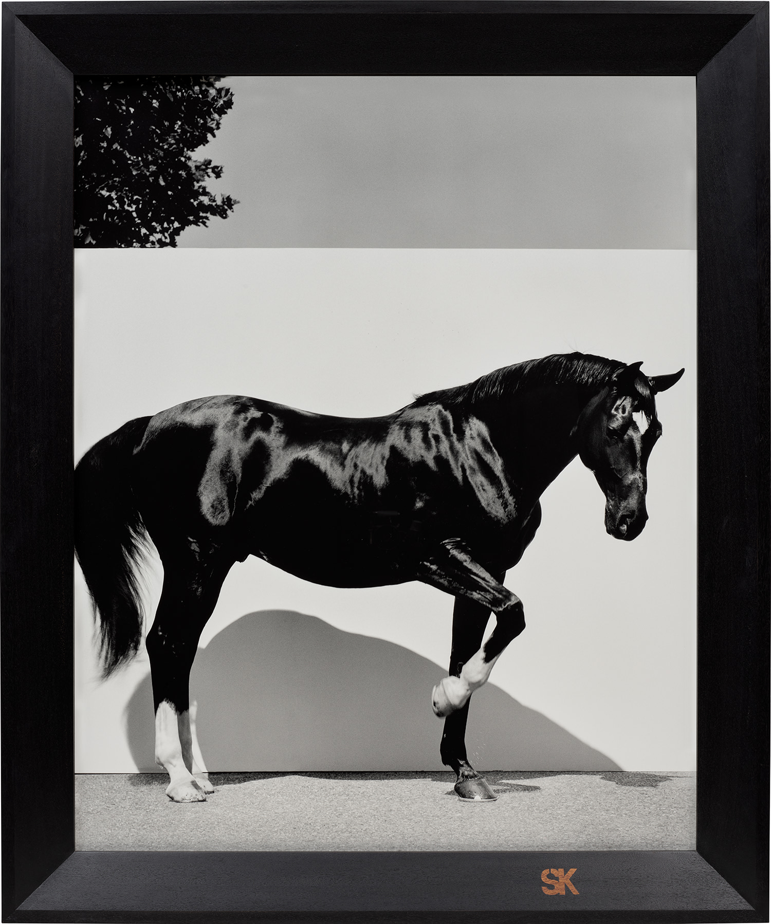 Steven Klein — L-Star, Bridgehampton NY