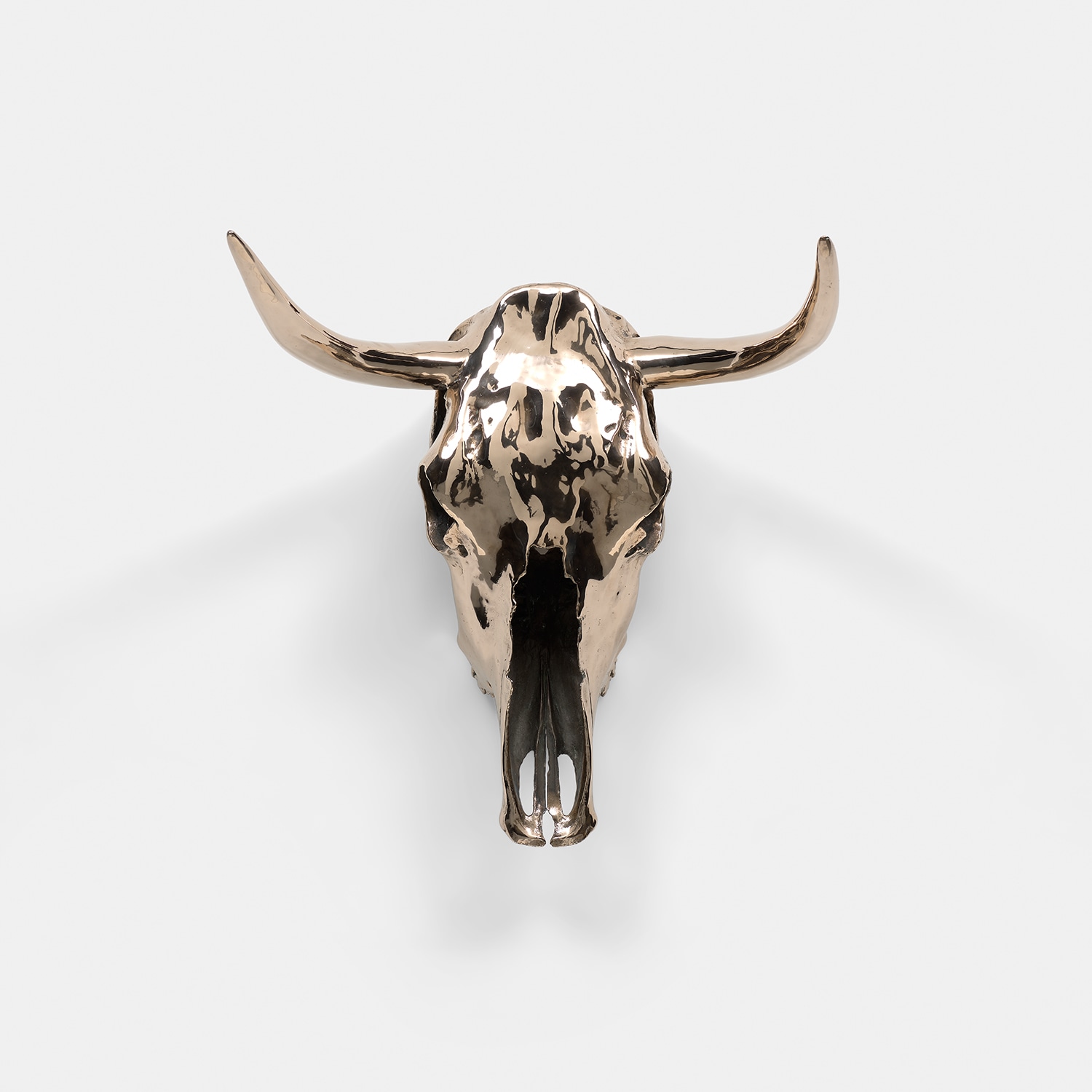 Sherrie Levine — Horned Steer Skull