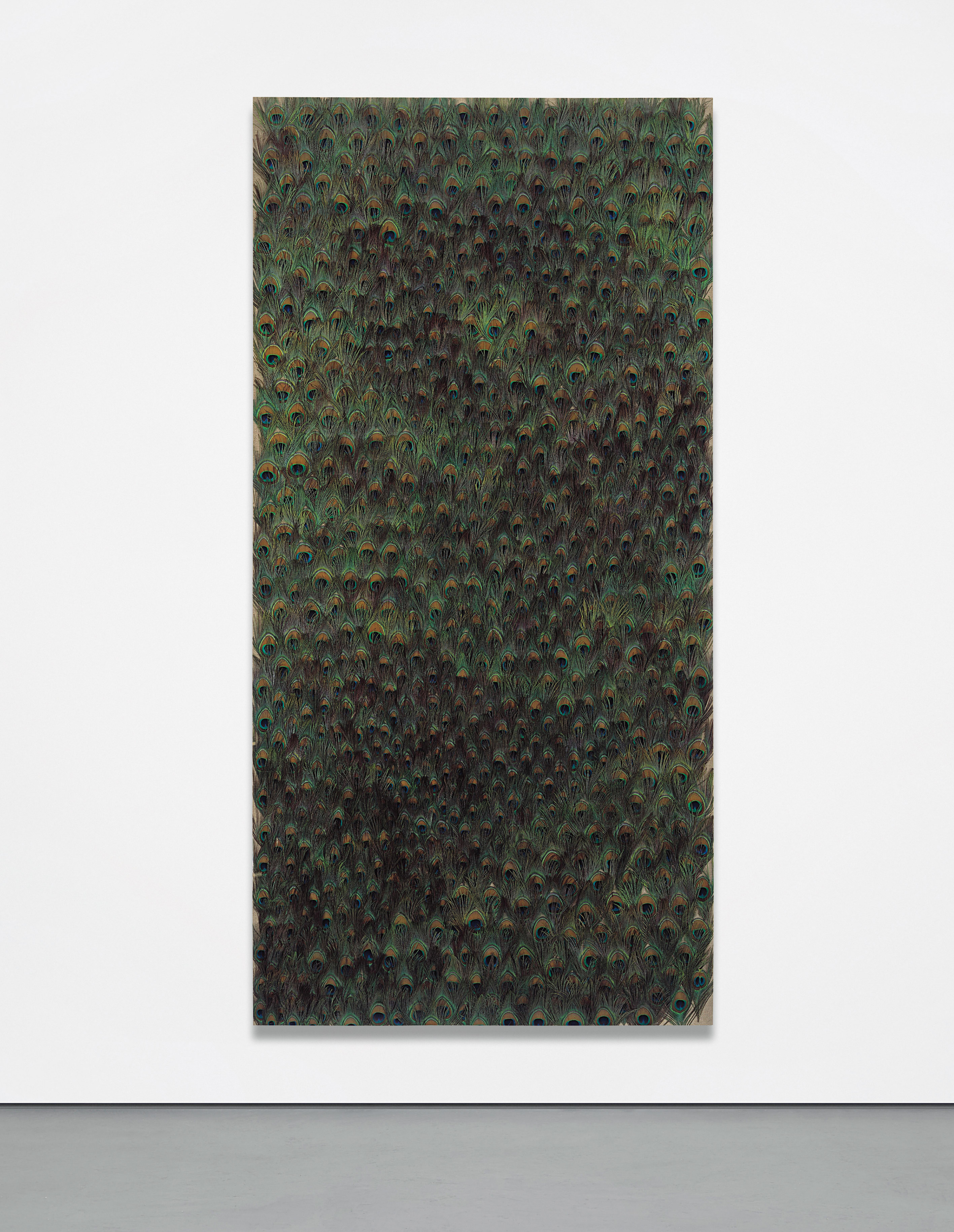 Carol Bove — peacock feathers on linen