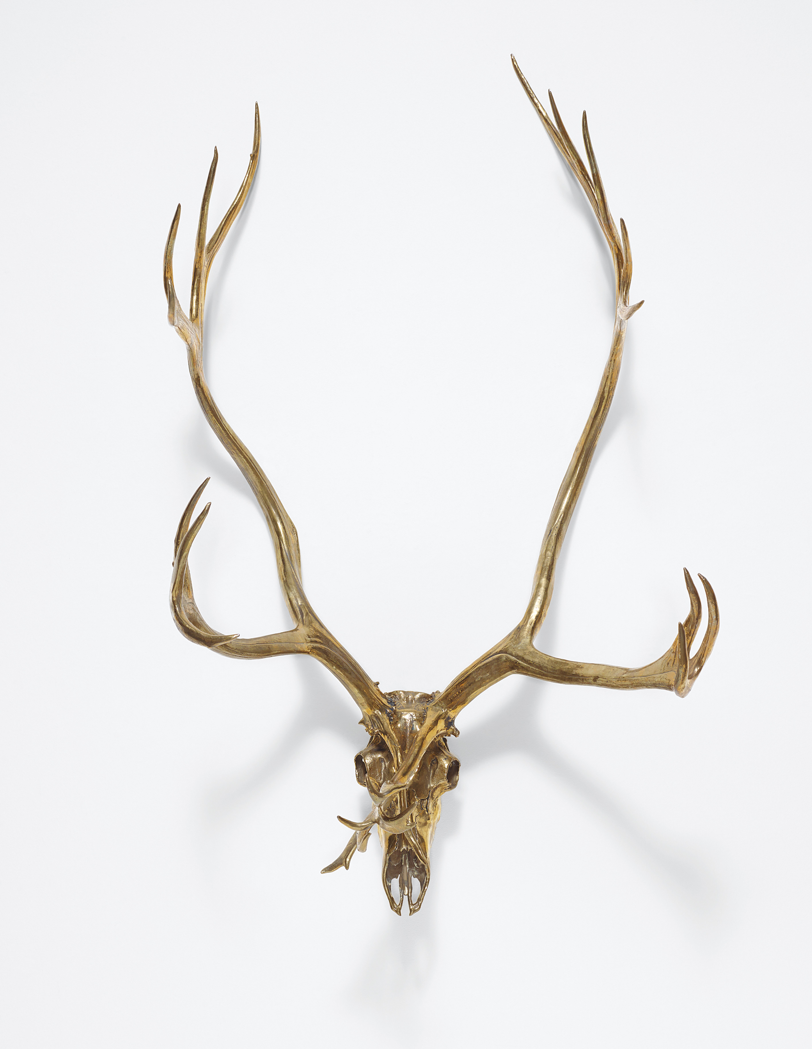 Sherrie Levine — Caribou Skull
