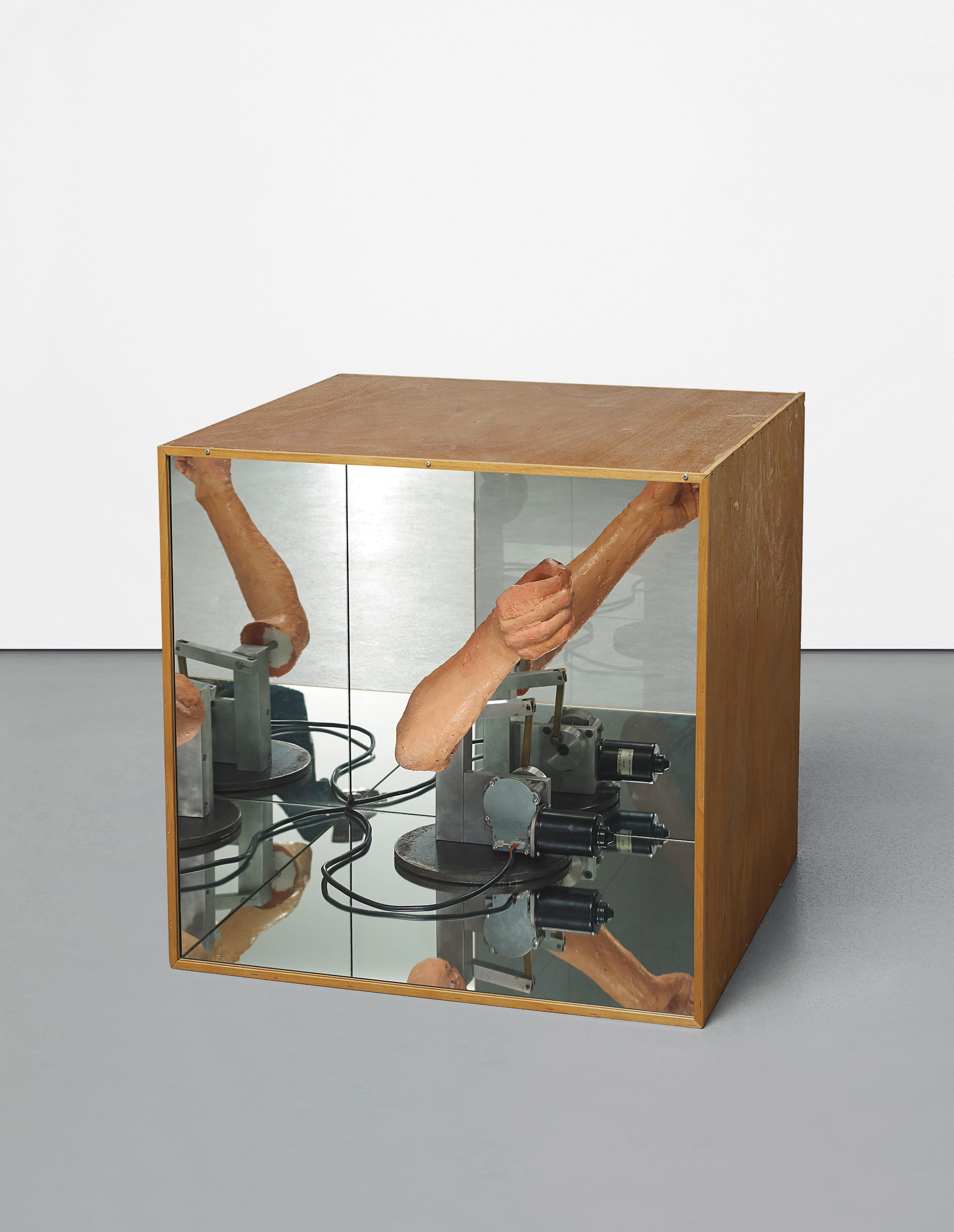 Wichser Schicksal (Wanker Destiny)