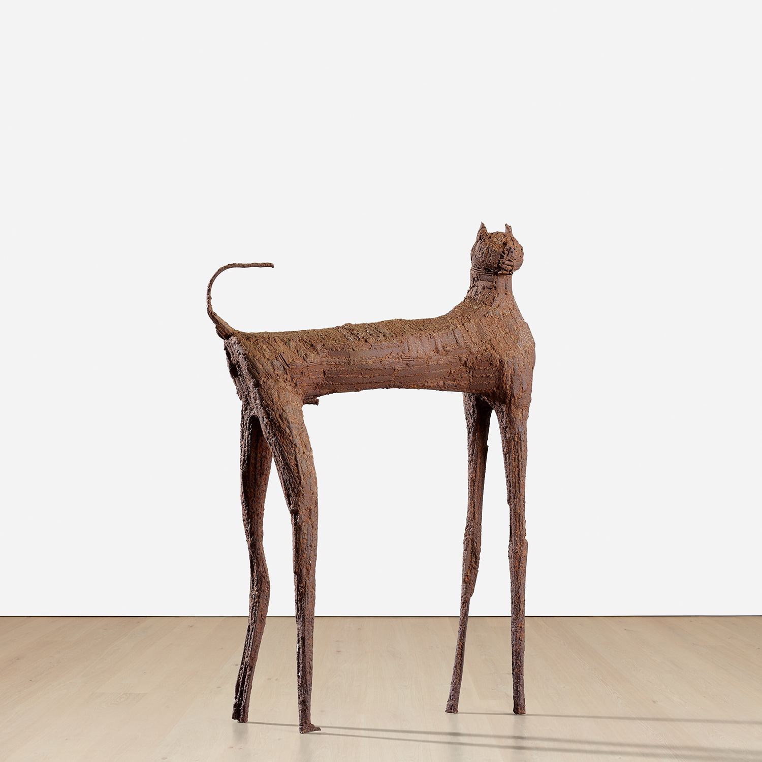 Omar El-Nagdi — Cat