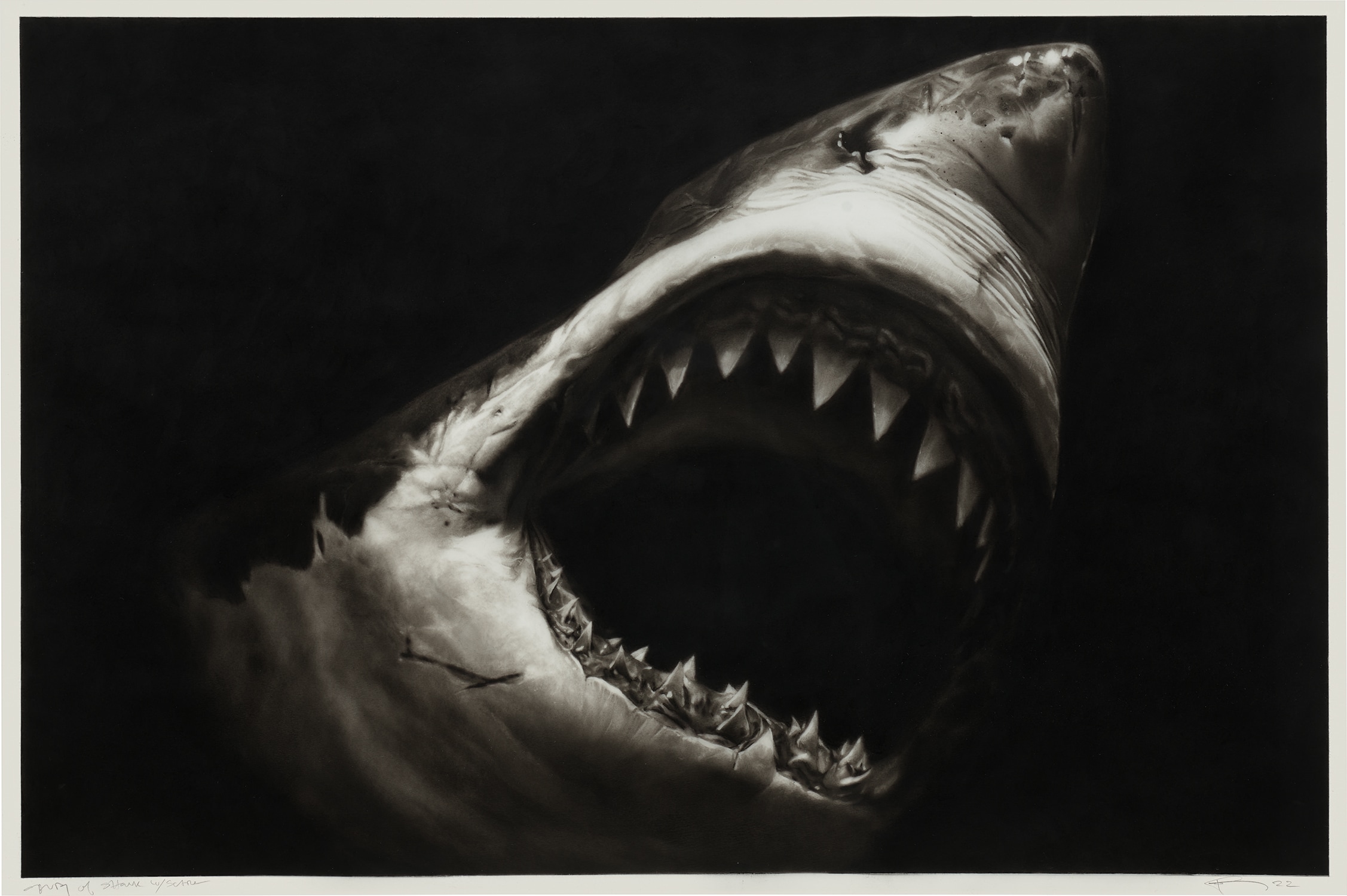 Robert Longo — Study of Shark with Scar