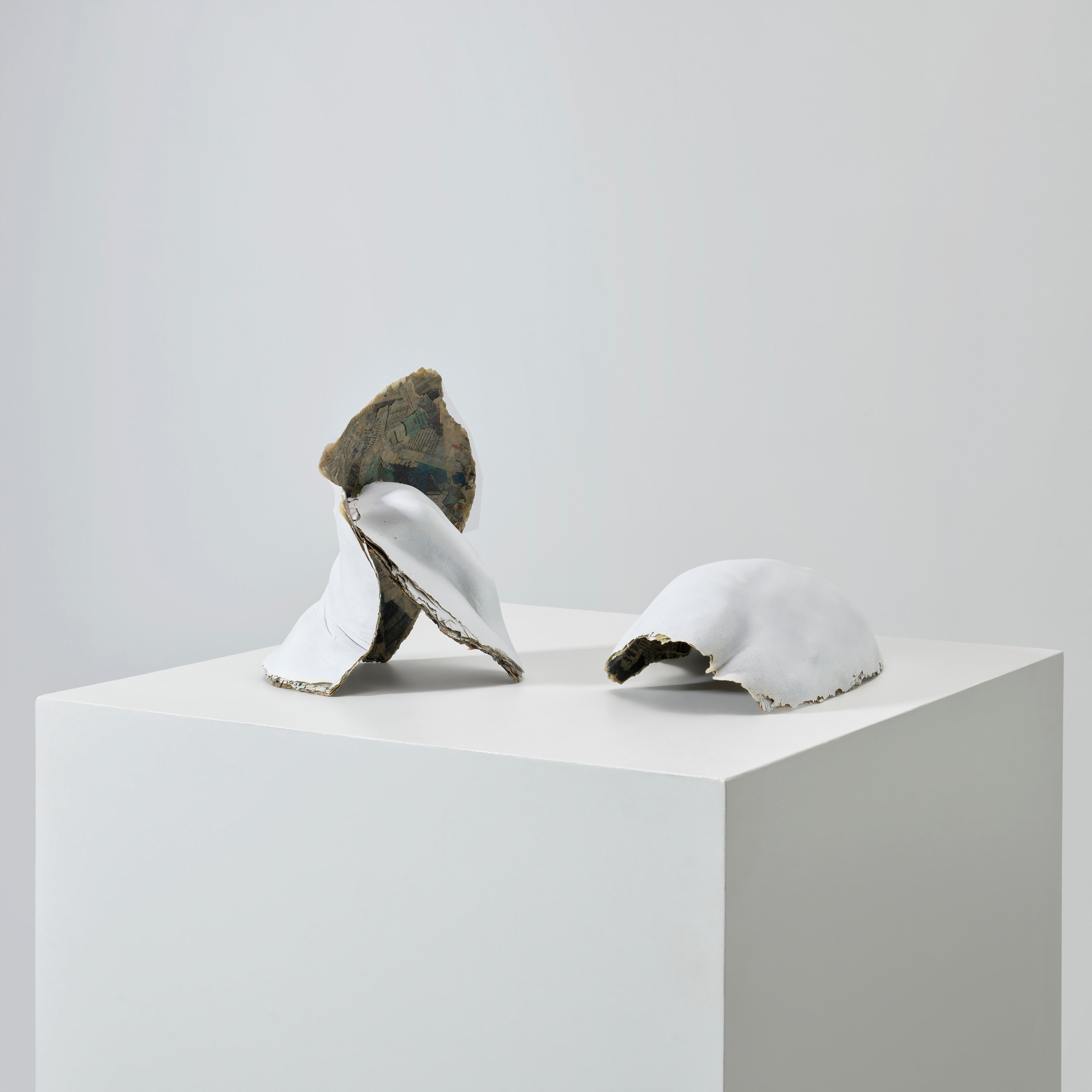 Danh Vō — Gustav's Wing