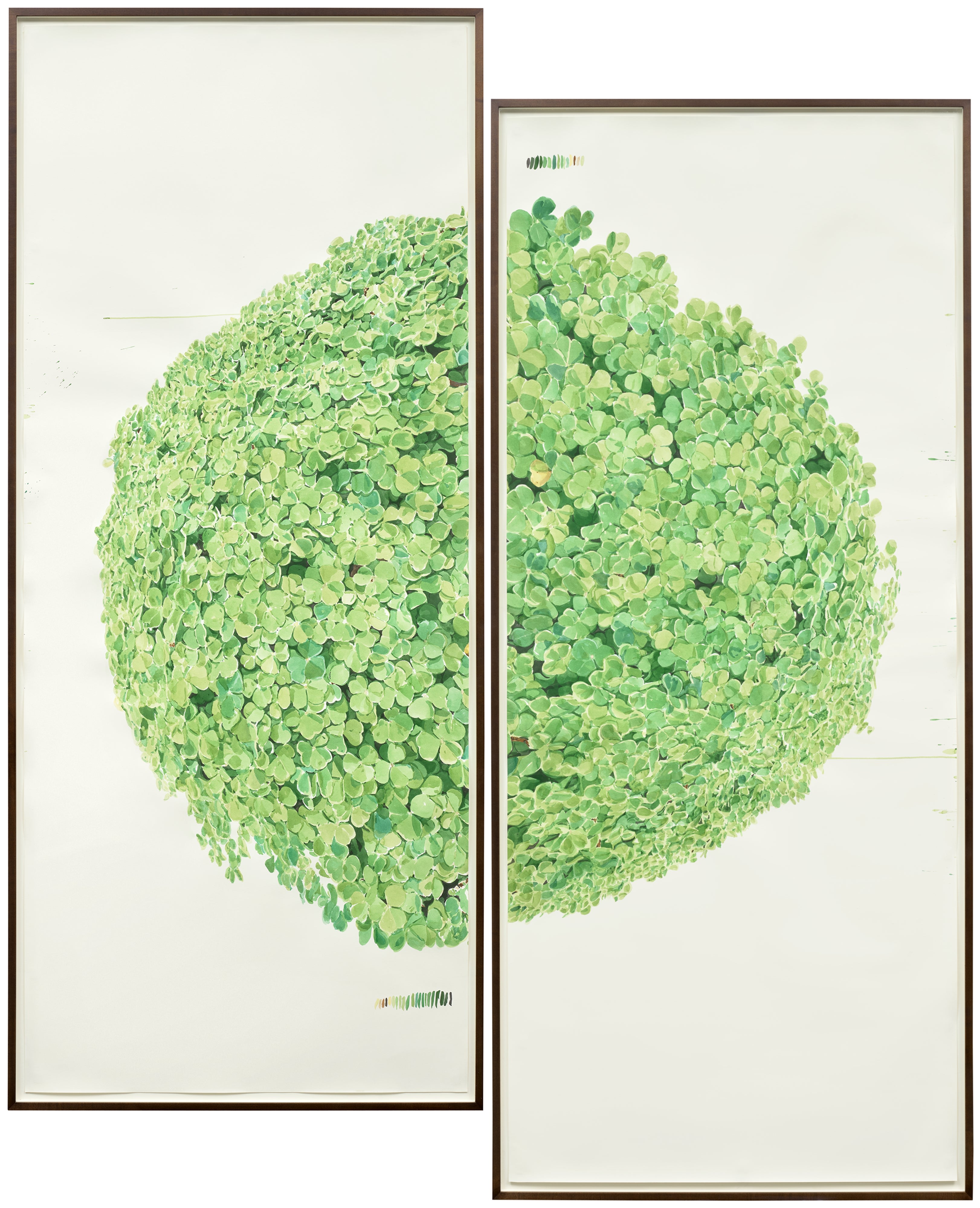 Dave Muller — Cloverball