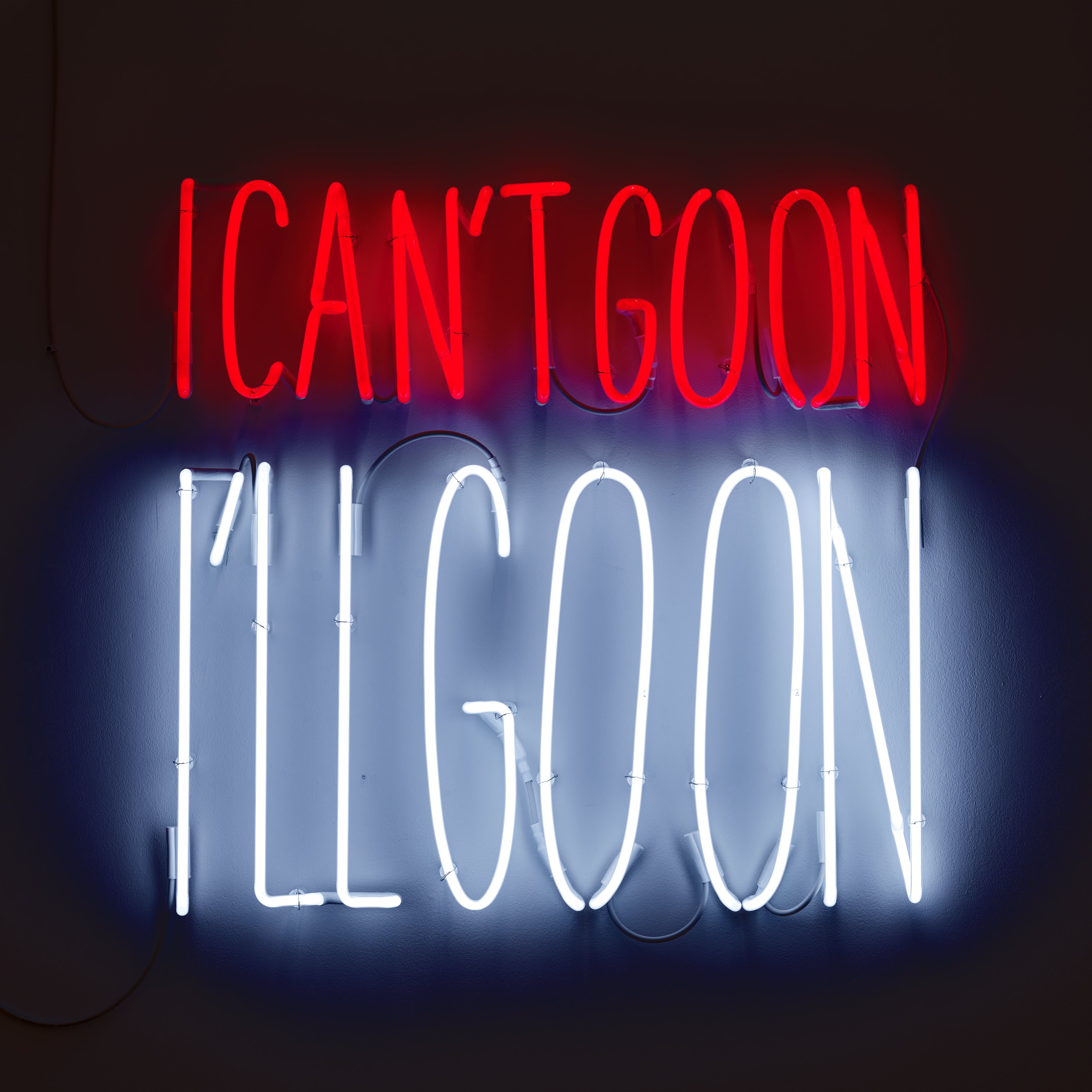 I Can't Go On, I'll Go On