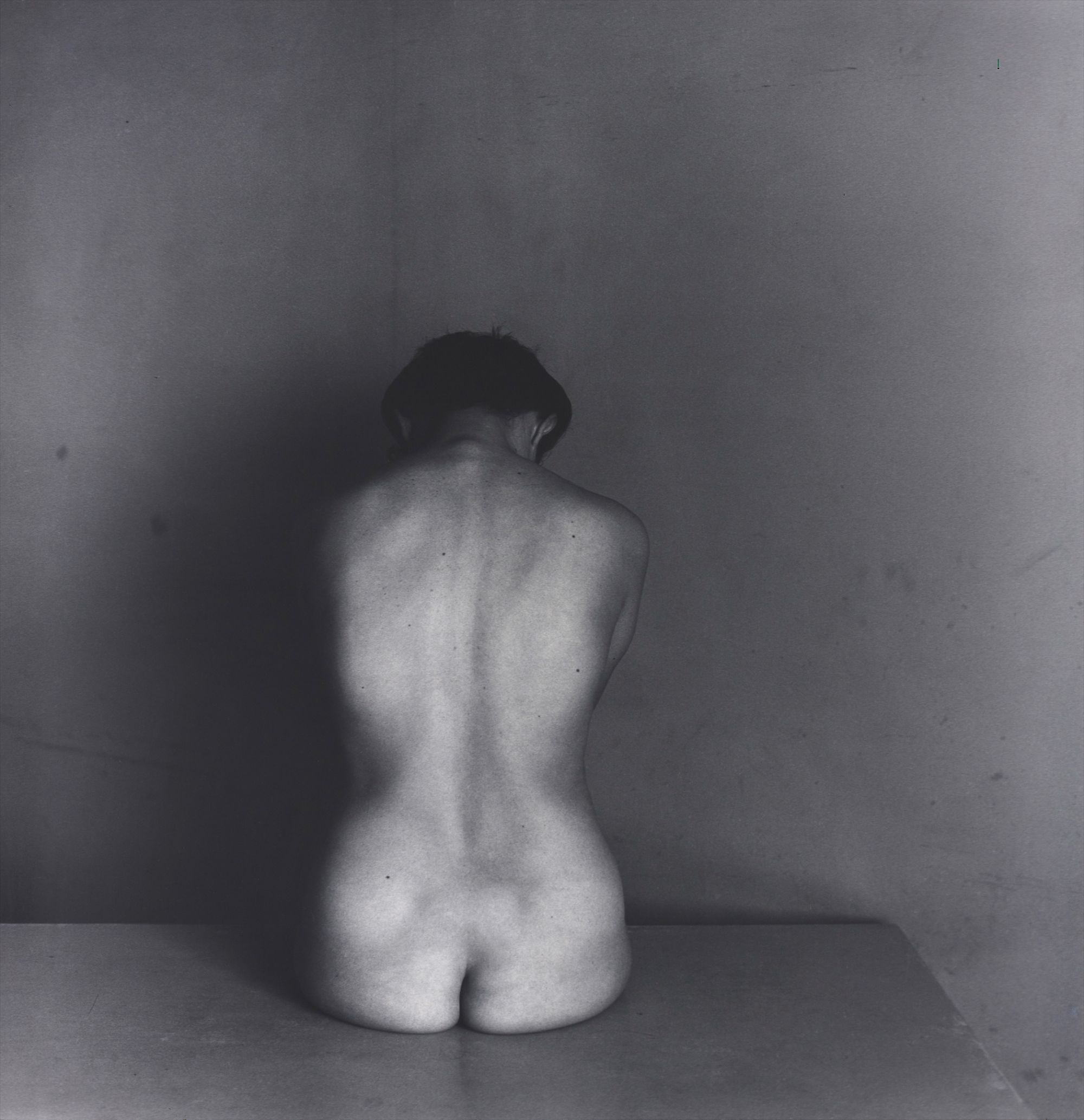 Craigie Horsfield — E.horsfield