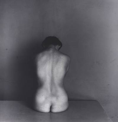 E.horsfield