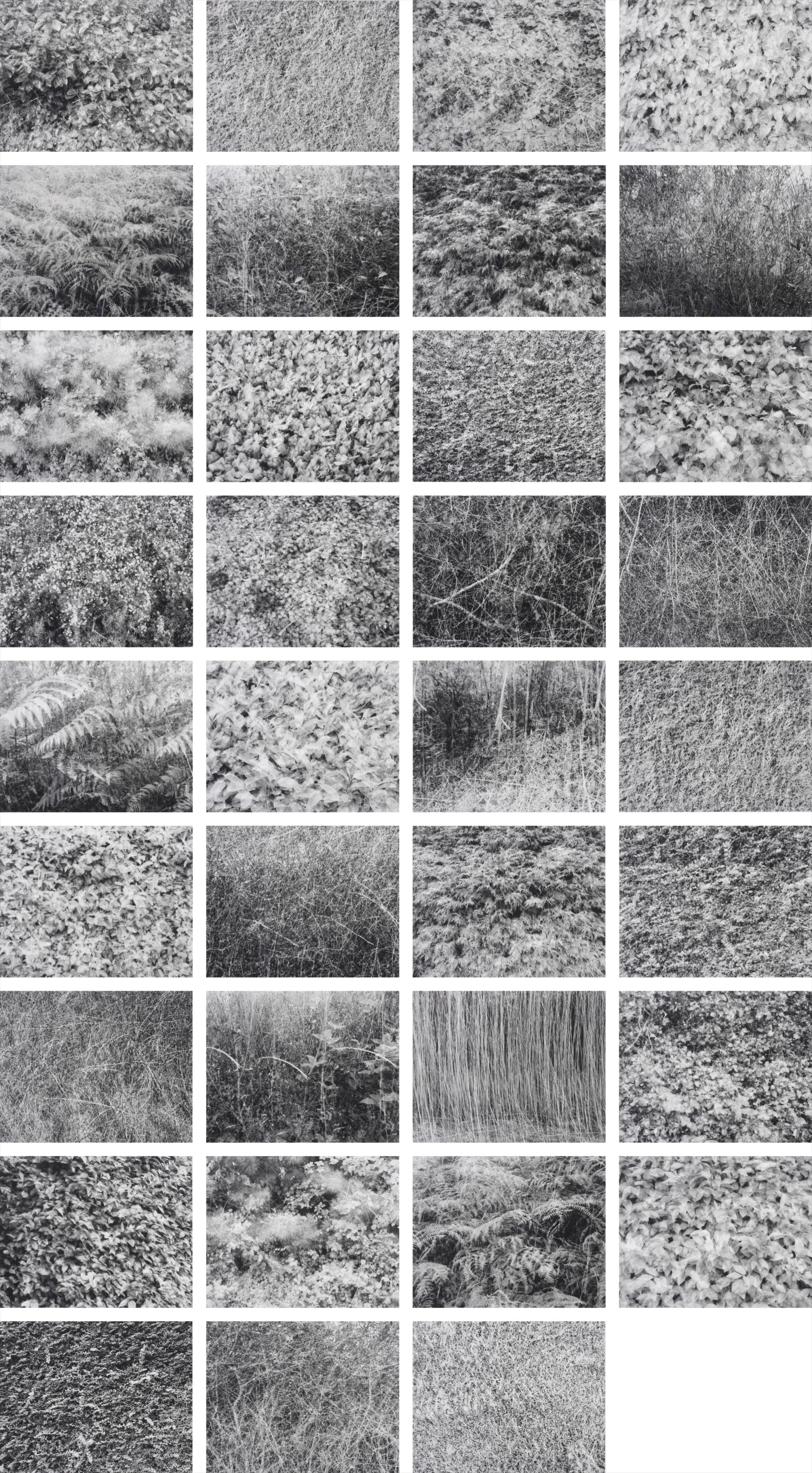 Idris Khan — As Salaamu 'alaikum wa rahmatulaah...Peace and blessings of God be upon you