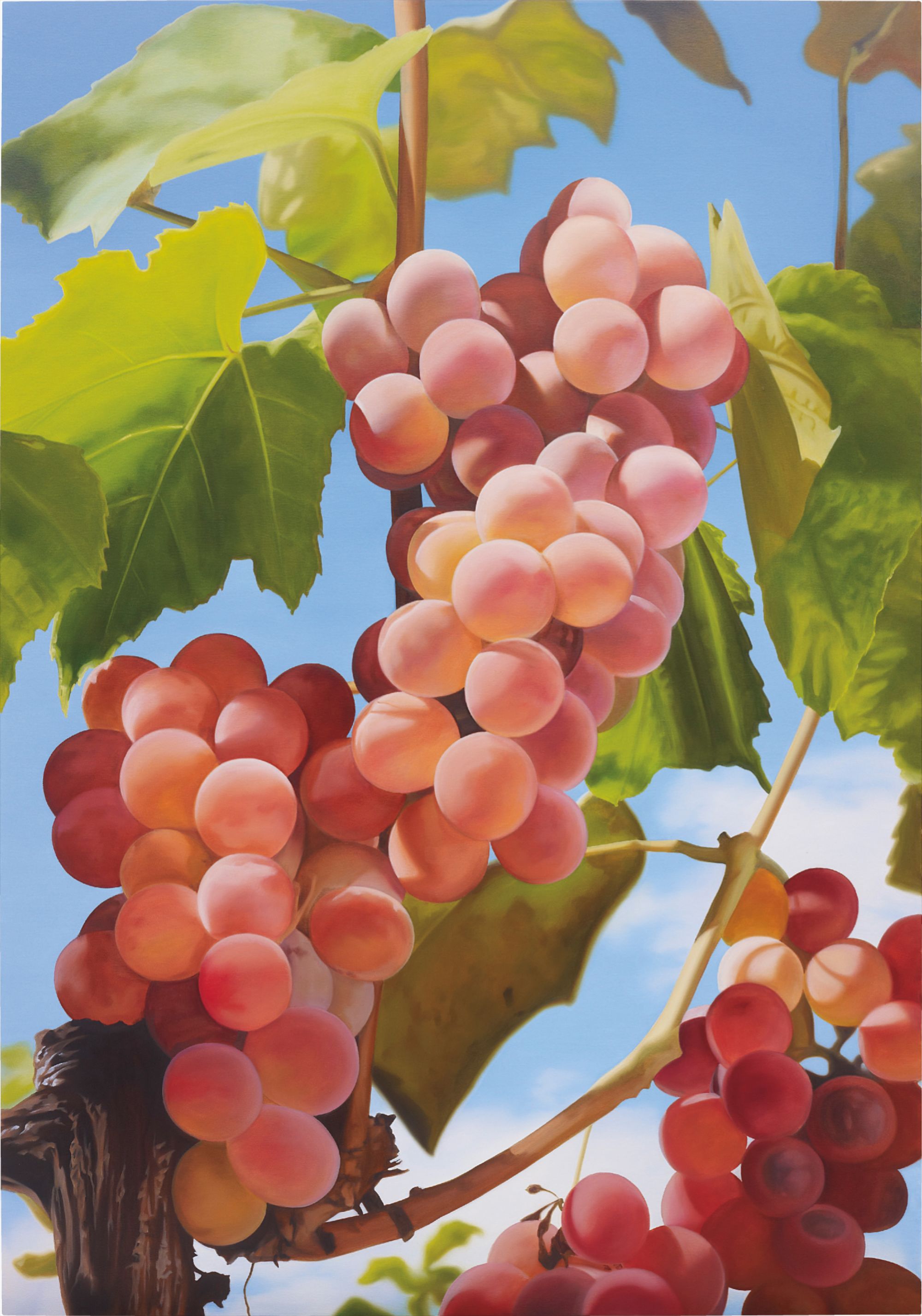 Mustafa Hulusi — Grapes I