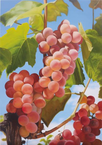Grapes I