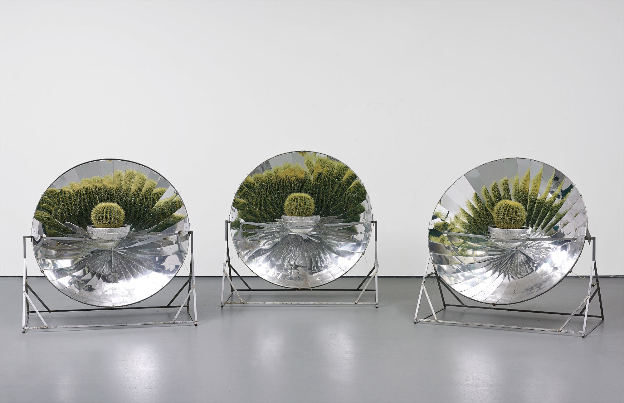 Ólafur Elíasson — installed dimensions variable