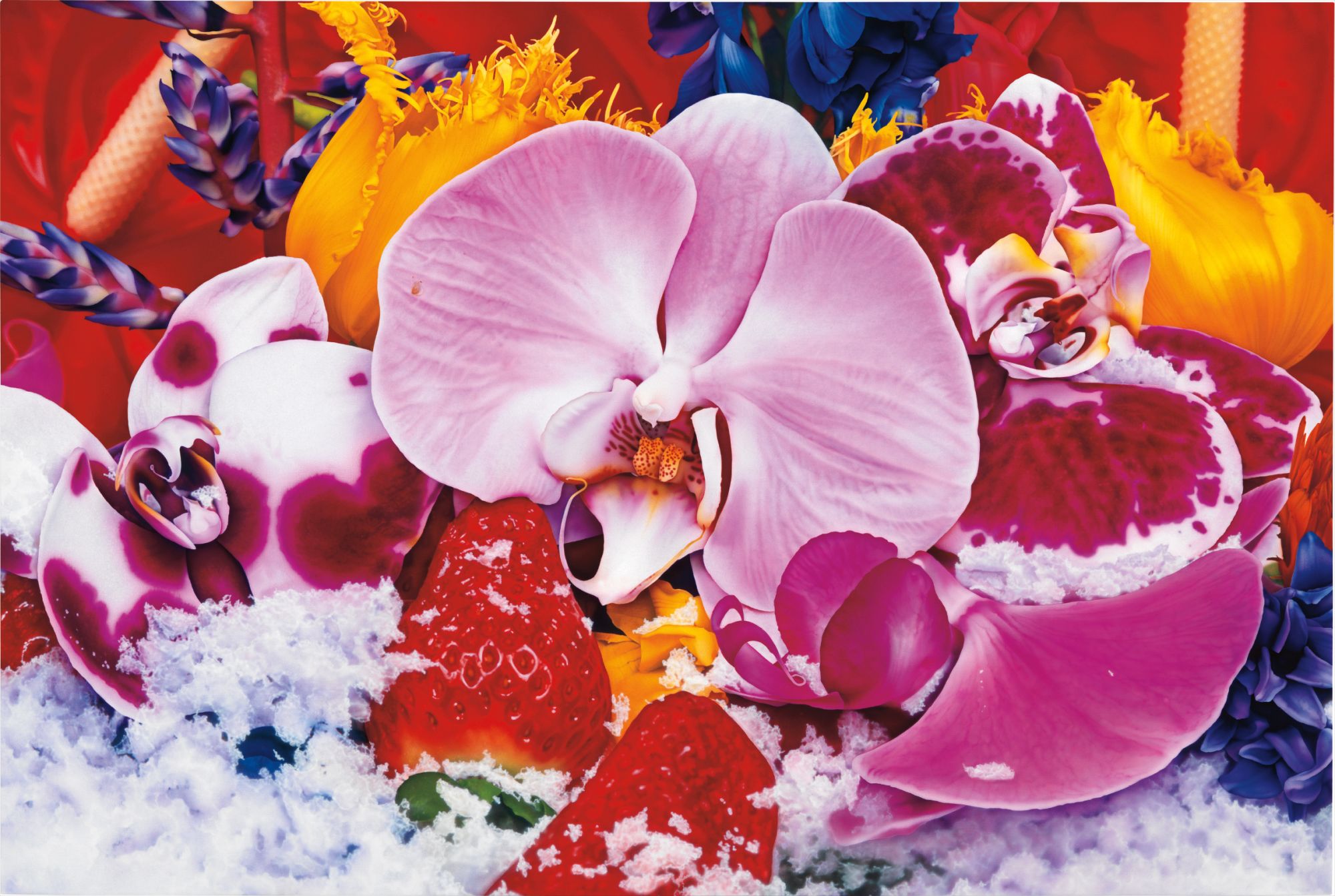 Marc Quinn — Bahia Mangroves Brazil