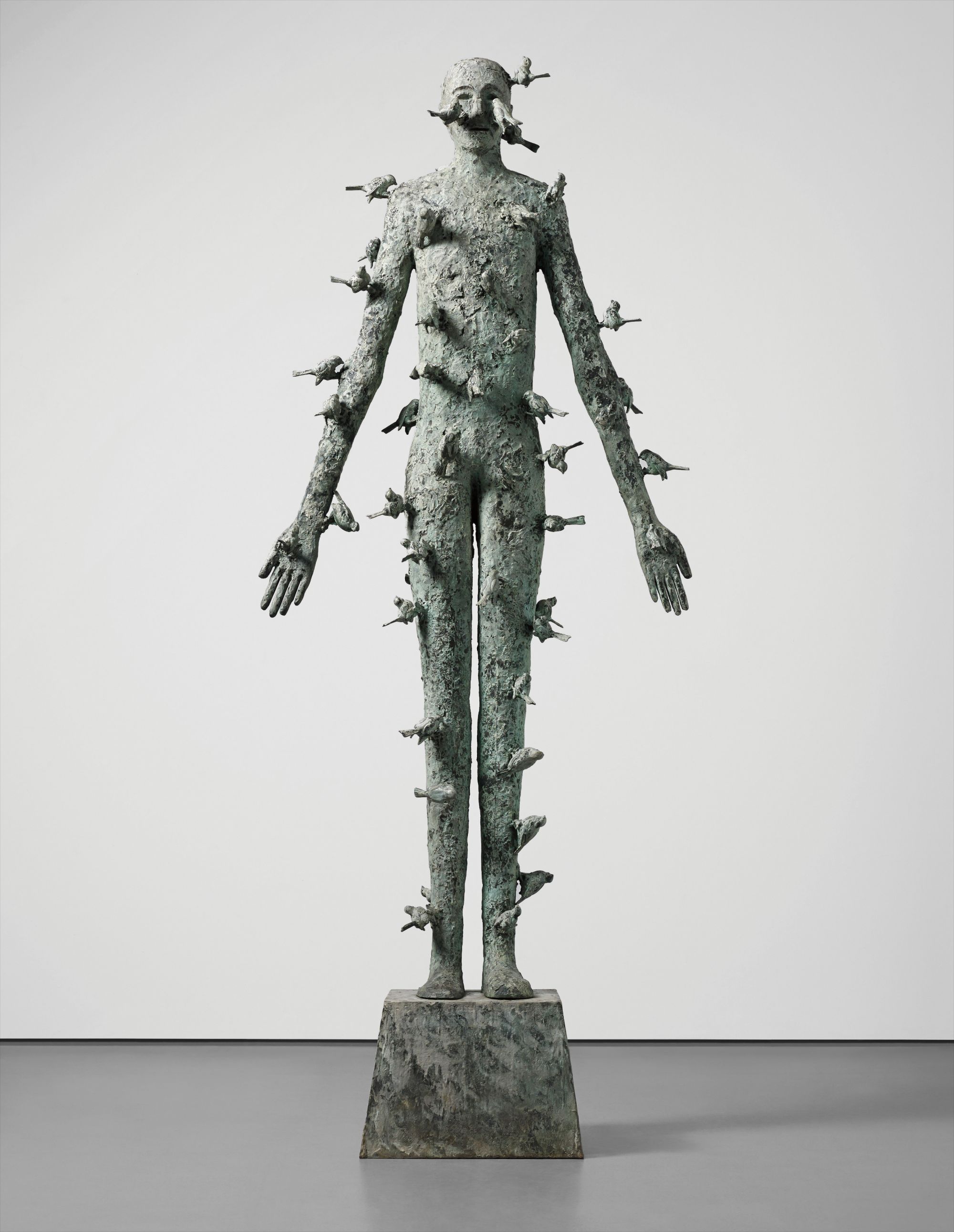 Caduto a Ragione (Fall for a Reason)