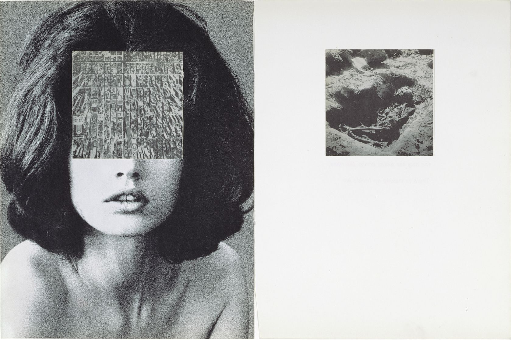 Carol Bove — Seeds